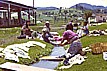 Indiofrauen in den guatemaltekischen Bergen beim W�sche-Waschen_GUATEMALA 1974