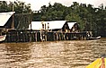 direkt an der Einm�ndung des ORINOCO in den Atlantik_ auch Schmuggler finden sich hier ein_reger Kontakt zwi- schen VENEZUELA und 'TRINIDAD und TOBAGO'_ Fischer- h�tten auf Stelzen wegen unterschiedlicher Wasserstands- h�he_hier beh�lt mal der s��wasserf�hrende ORINOCO die Oberhand, mal wird er zur�ckgedr�ngt und salzhaltiges Atlantik-Wasser str�mt ins Delta_dann erreicht das Wasser fast den H�tteneingang_VENEZUELA 1984_Jochen A. H�bener