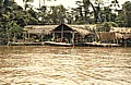 ... so tief liegen die Indio-H�tten w�hrend der Flut_ORINOCO-Delta, VENEZUELA 1984_Jochen A. H�bener