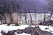 ... ich hatte eigentlich, so kurz vor der Antarktis, mehr K�lte erwartet_teilweise war kaum mehr Eis / Schnee vorhanden _ da war nur noch wandern angesagt _ Nationalpark FEUERLAND_ARGENTINIEN 1986_Jochen A. H�bener