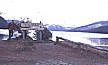... ausgiebige Wanderung im Gebiet des Nationalparks Feuerland ('PARQUE NACIONAL TIERRA del FUEGO'), ARGENTINIEN_erstaunlicherweise einige Grade �ber 0� C _Jochen A. H�bener 1986 